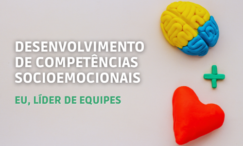 Desenvolvimento de competências socioemocionais – Eu, líder de equipes